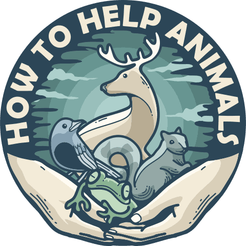 How To Help Animals
