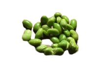 Can hedgehogs eat edamame?