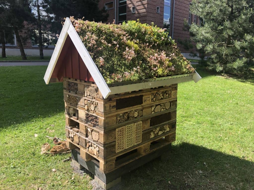 How To Build An Insect Hotel For Bees and other insects