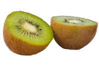 Can hedgehogs eat dried kiwi fruit?