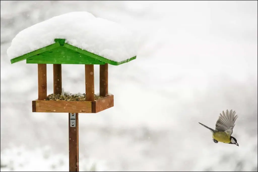Bird flies away from snowed bird feeder