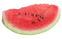 Can hedgehogs eat watermelon rinds?