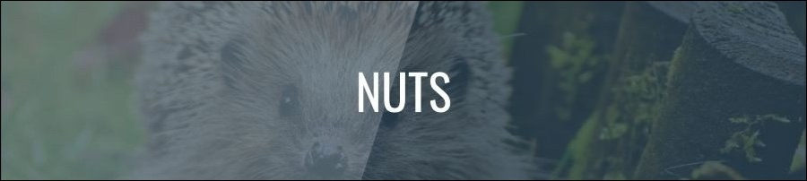 What Nuts Can Hedgehogs Eat?