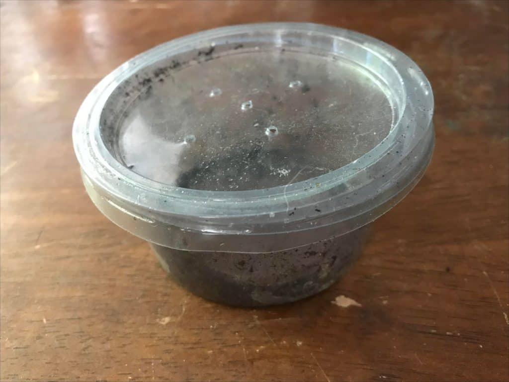 Worm catching container