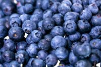 How to store blueberries?