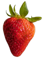 Can hedgehogs eat the top of the strawberry?