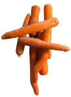 How often should I feed carrots to my ducks?