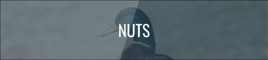 Can Ducks Eat Nuts?