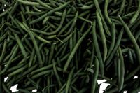 How much green beans can I feed my ducks?