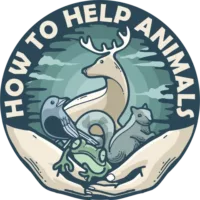 How To Help Animals Logo