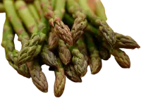 Unsafe ways to feed asparagus to ducks