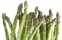 Safe ways to feed asparagus to ducks