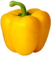 Can ducks eat raw bell peppers?