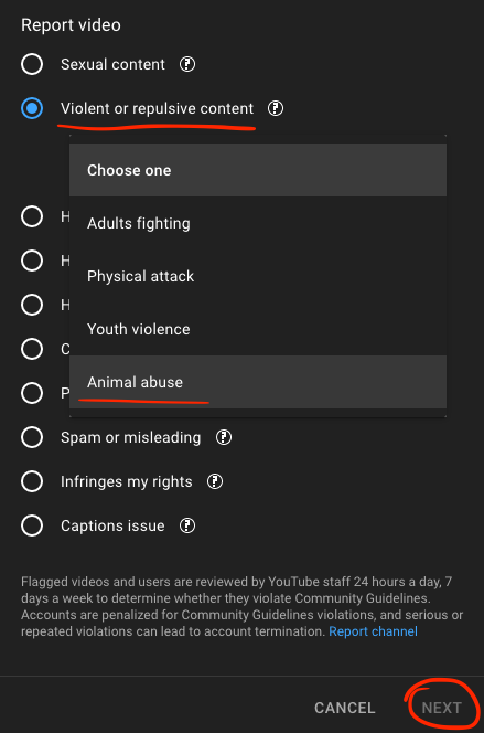 How to report animal abuse on Youtube