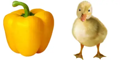 Can ducklings eat bell peppers?