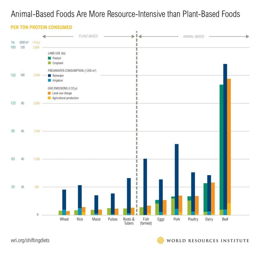 Animal-Based Foods Are More Resource-Intensive than plant-based foods