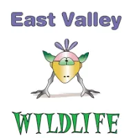 East Valley Wildlife