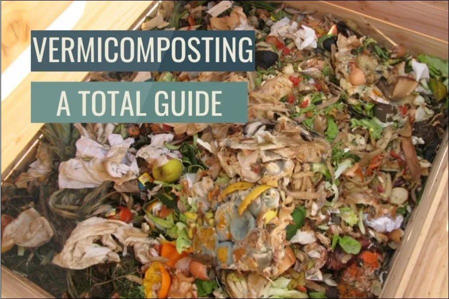 How to start vermicompost - a total guide