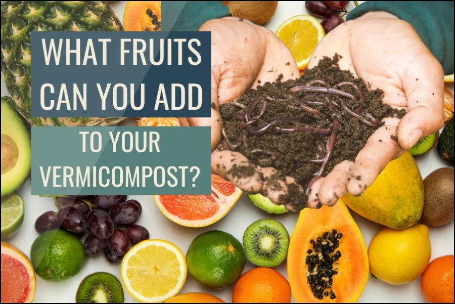 What fruits can you add to your vermicompost?