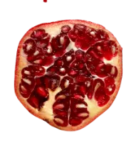 Can squirrelas eat pomegrante?
