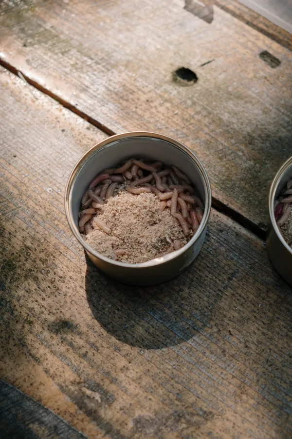 Worms in can